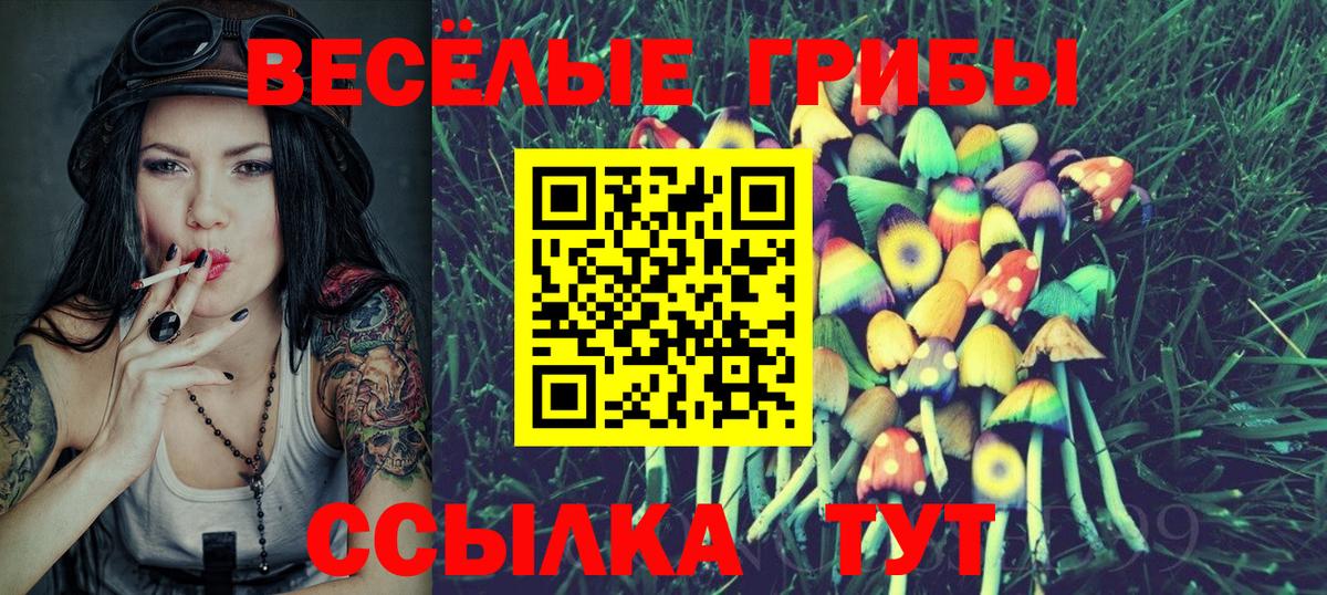 даркнет сайт  Галлюциногенные грибы Cubensis  Вход с VPN  Котовск 